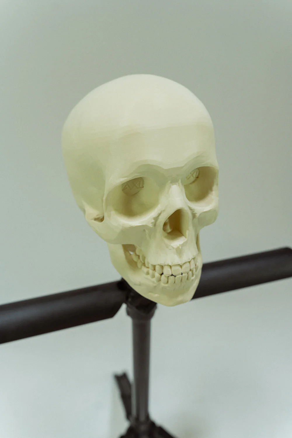 The Skull - Image 3